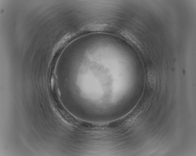 X0000068820682200605051211