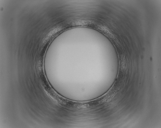 X0000068820683200605051211