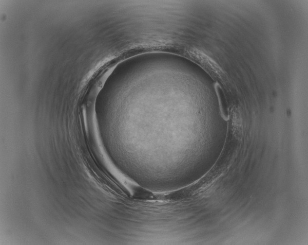 X0000068820684200605051211