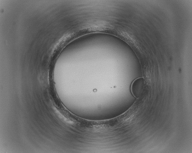 X0000068820686200605051211