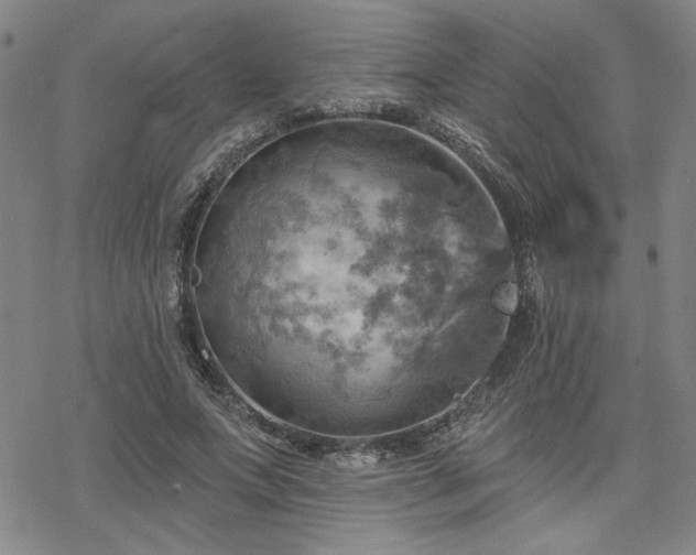 X0000068820687200605051211