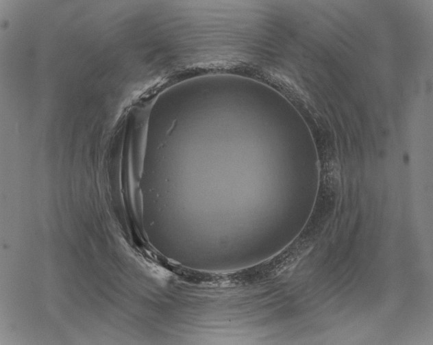 X0000068820688200605051211