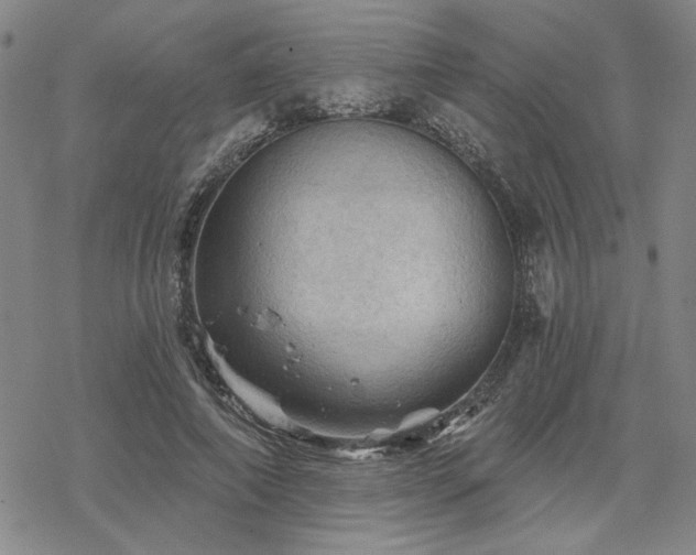 X0000068820690200605051211