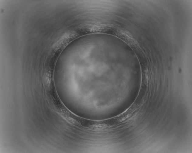 X0000068820691200605051211