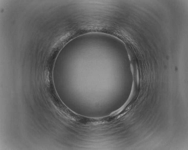 X0000068820692200605051211