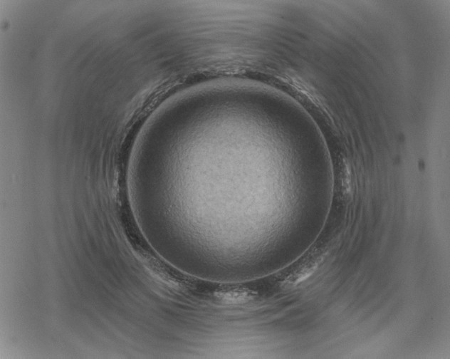 X0000068820693200605051211