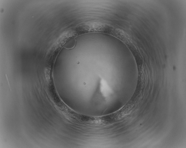 X0000068820695200605051211