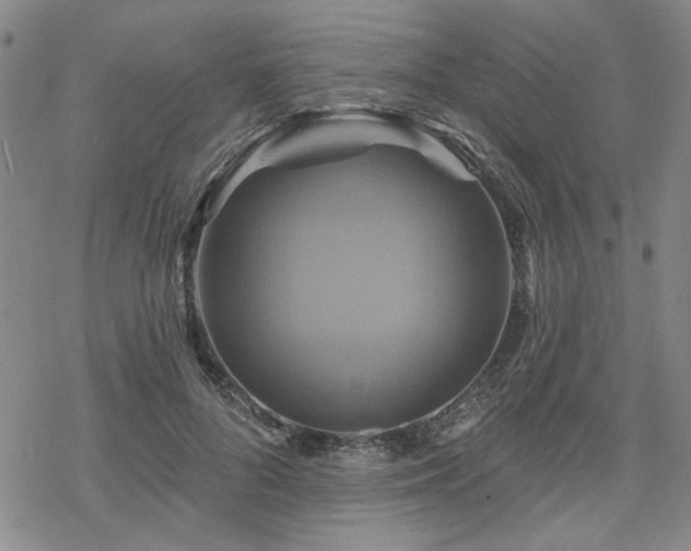 X0000068820696200605051211