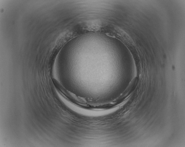 X0000068820697200605051211