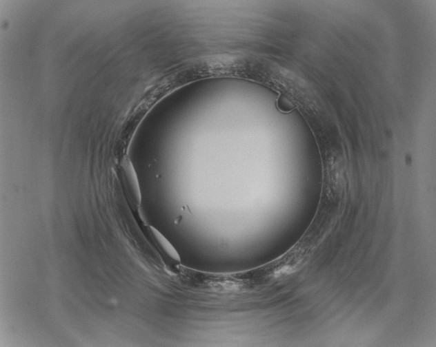 X0000068820698200605051211