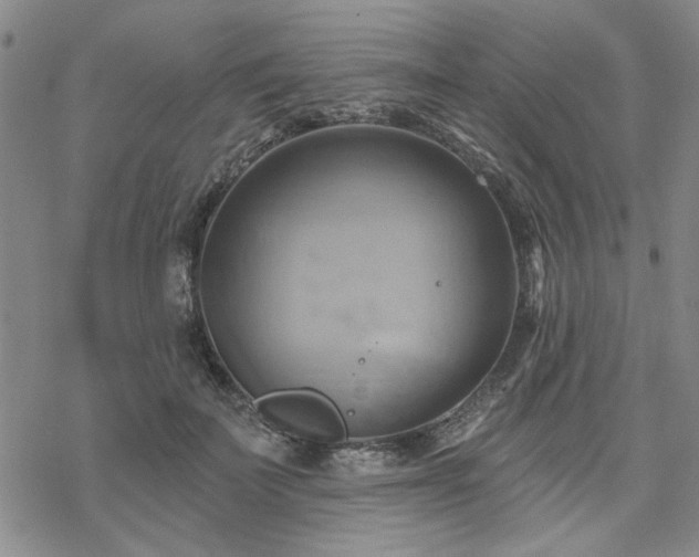 X0000068820699200605051211