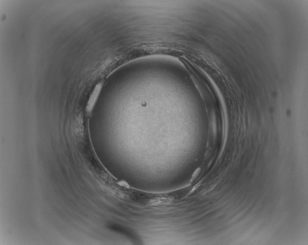 X0000068820700200605051211