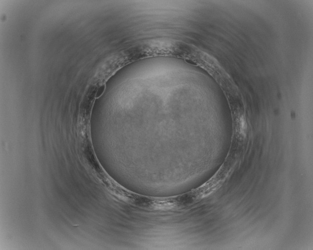 X0000068820701200605051211