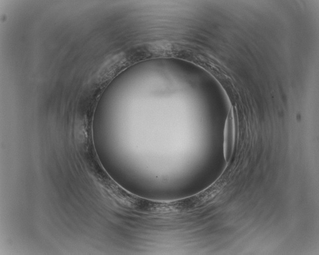 X0000068820702200605051211