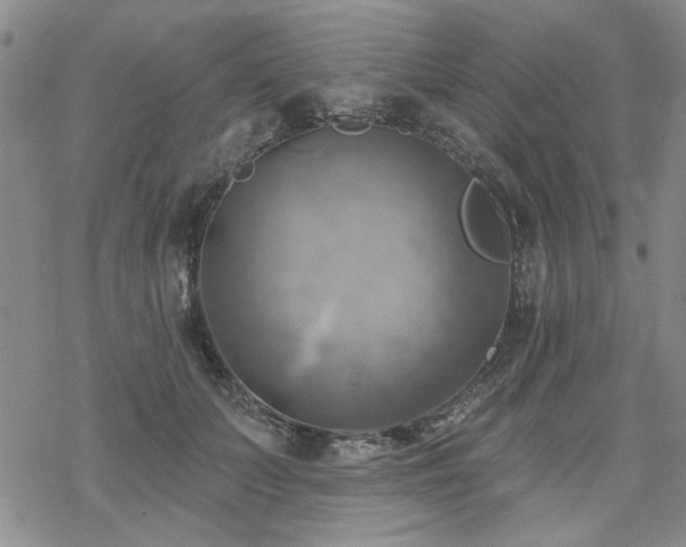 X0000068820703200605051211