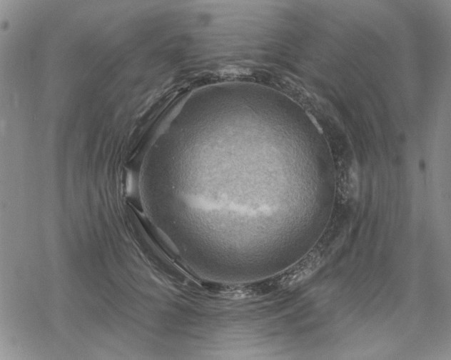 X0000068820704200605051211