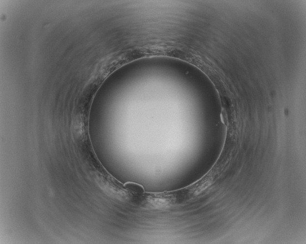 X0000068820706200605051211