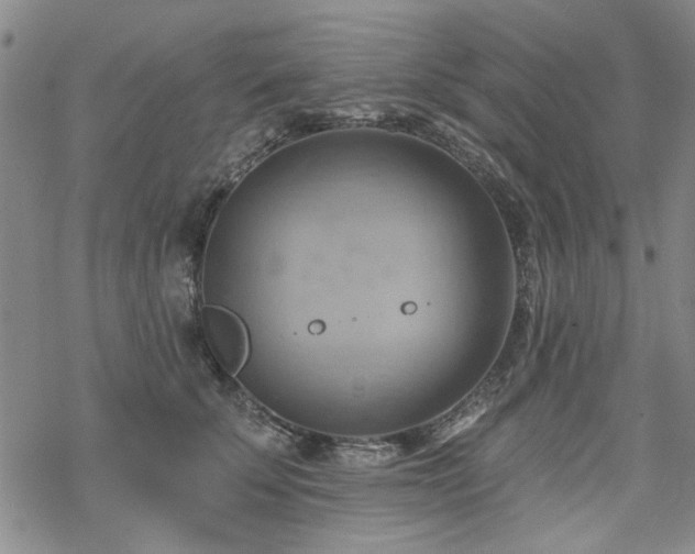 X0000068820707200605051211