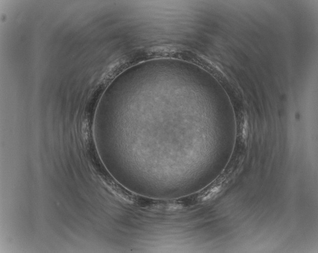 X0000068820708200605051211