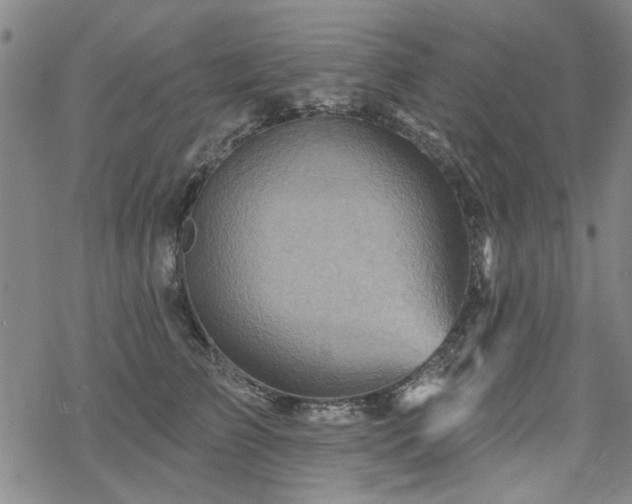 X0000068820709200605051211