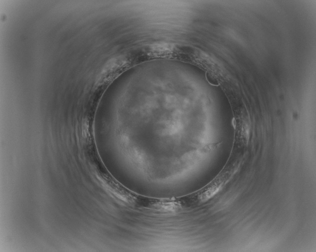 X0000068820711200605051211