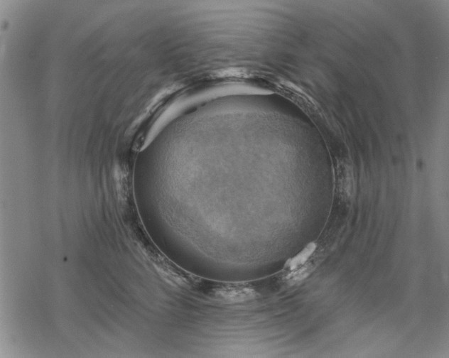 X0000068820712200605051211