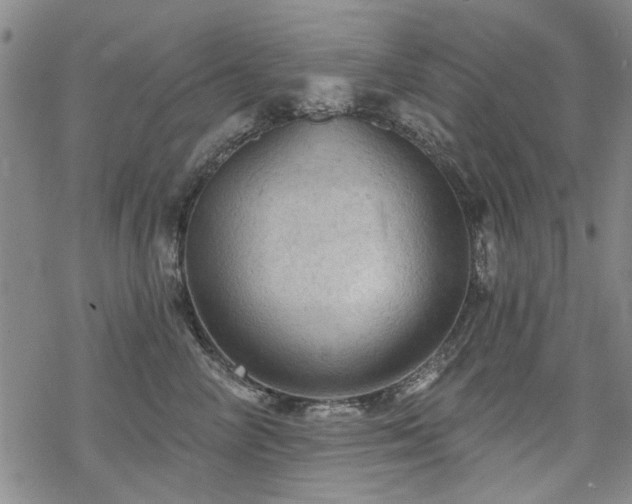 X0000068820714200605051211