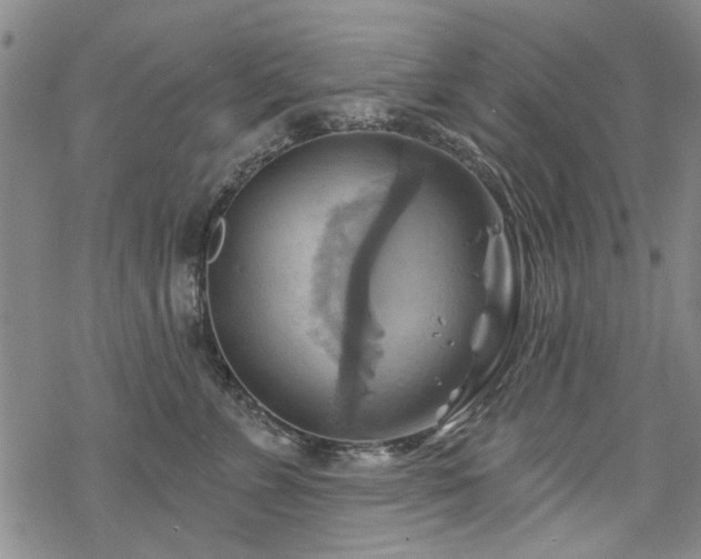 X0000068820715200605051210