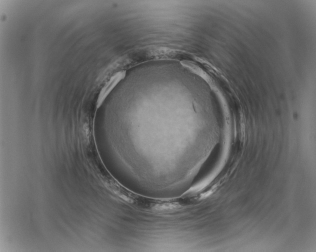 X0000068820716200605051210