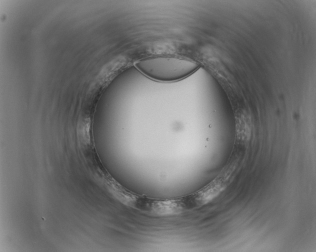 X0000068820717200605051210