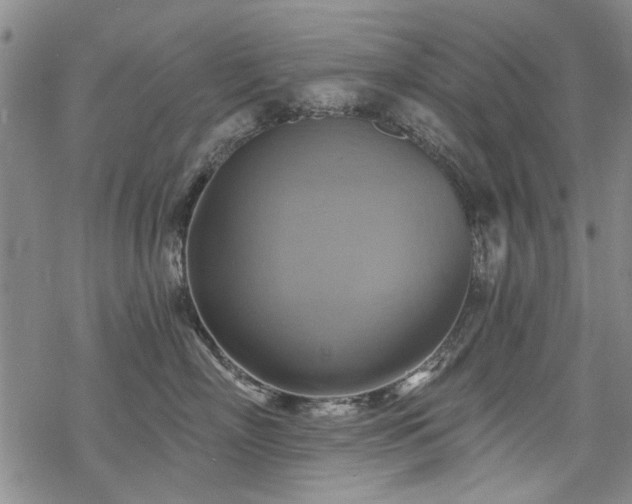 X0000068820718200605051210