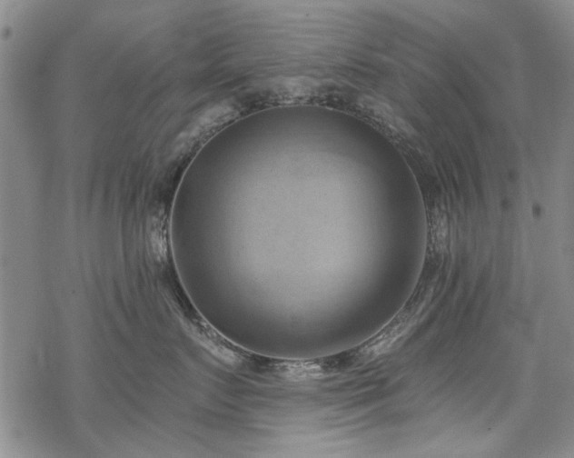 X0000068820719200605051210