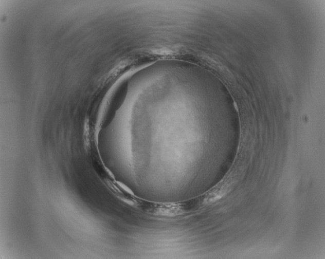 X0000068820720200605051210