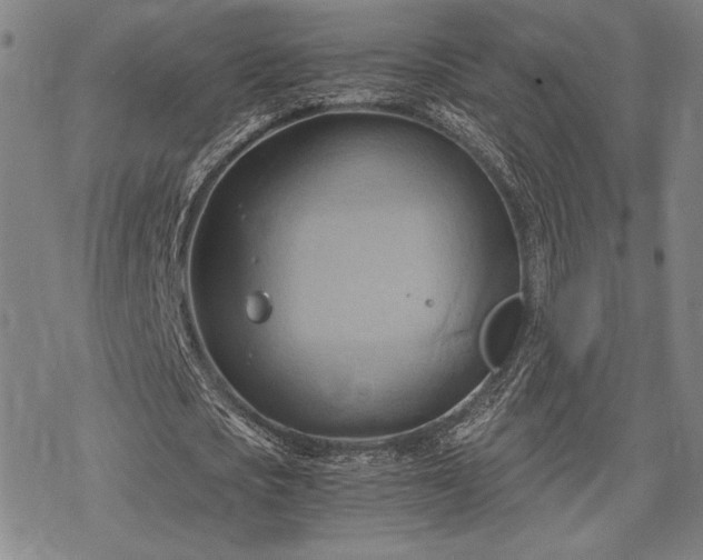 X0000068820721200605051210