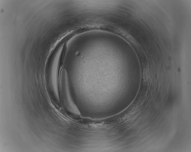 X0000068820722200605051210