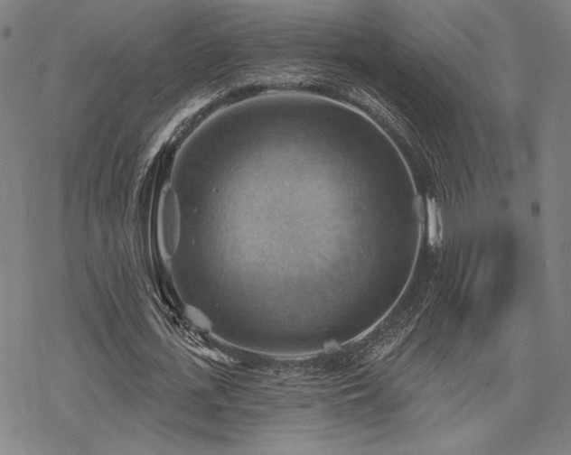 X0000068820723200605051210