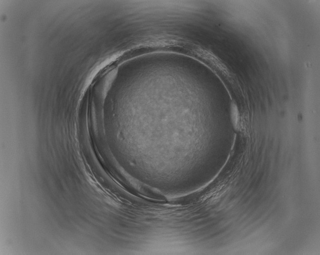 X0000068820724200605051210