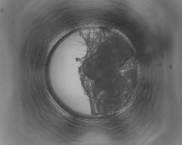 X0000068820725200605051210