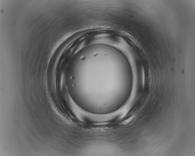 X0000068820726200605051210