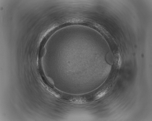 X0000068820727200605051210