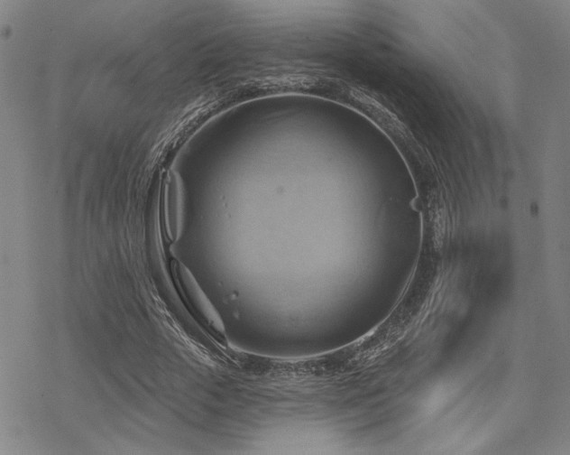 X0000068820729200605051210