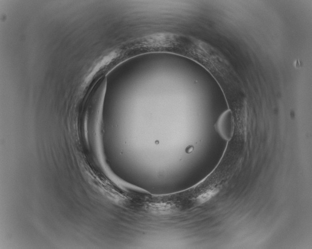 X0000068820731200605051210