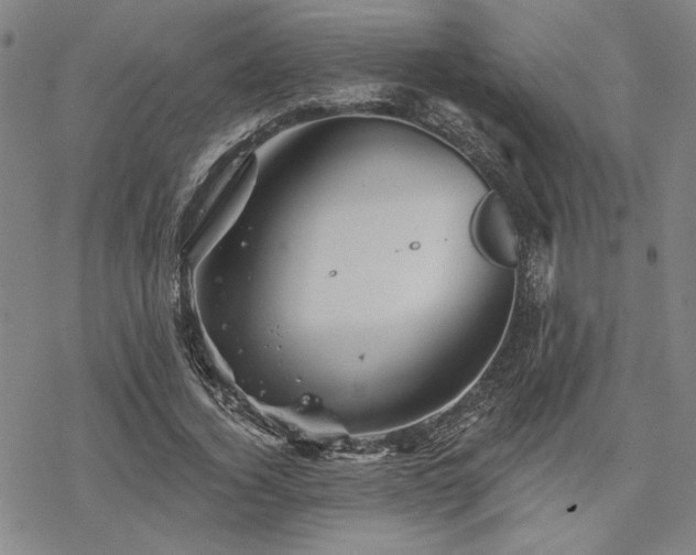 X0000068820732200605051210