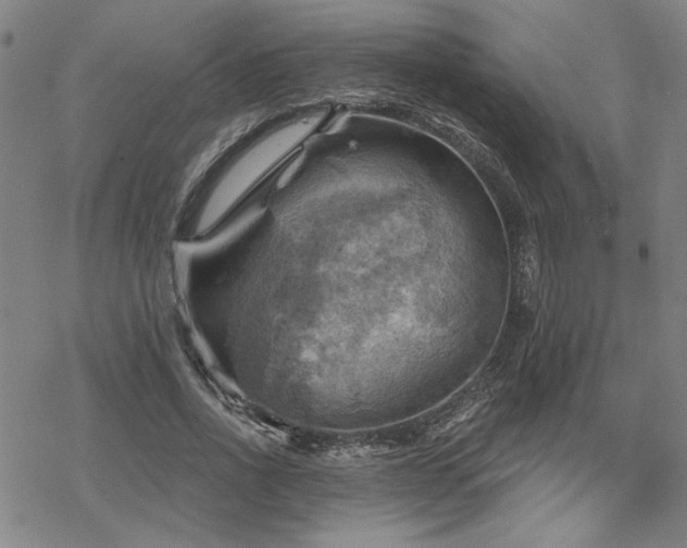 X0000068820734200605051210