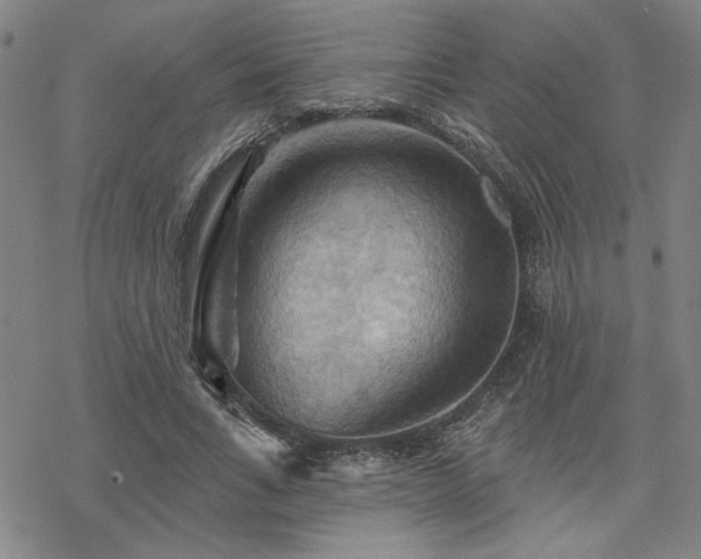 X0000068820735200605051210