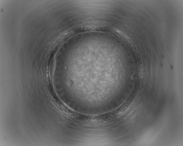 X0000068820737200605051210