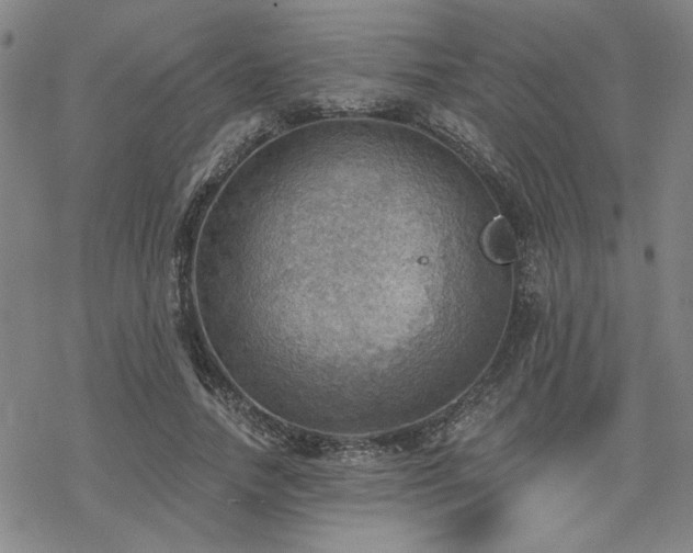 X0000068820738200605051210