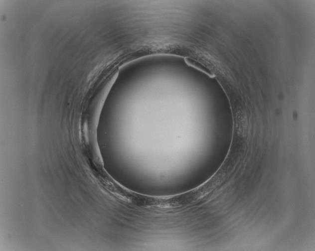 X0000068820740200605051210