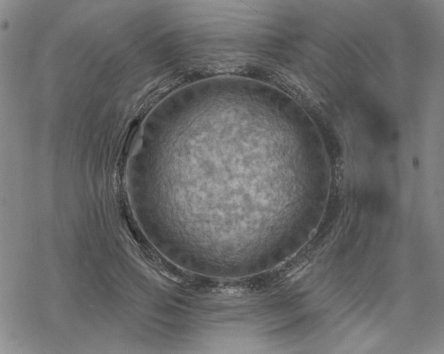 X0000068820741200605051210