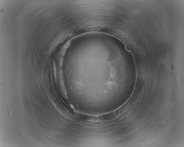 X0000068820742200605051210